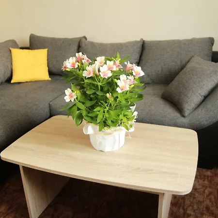 Im Herzen Des Nationalparks * 霍恩斯泰因